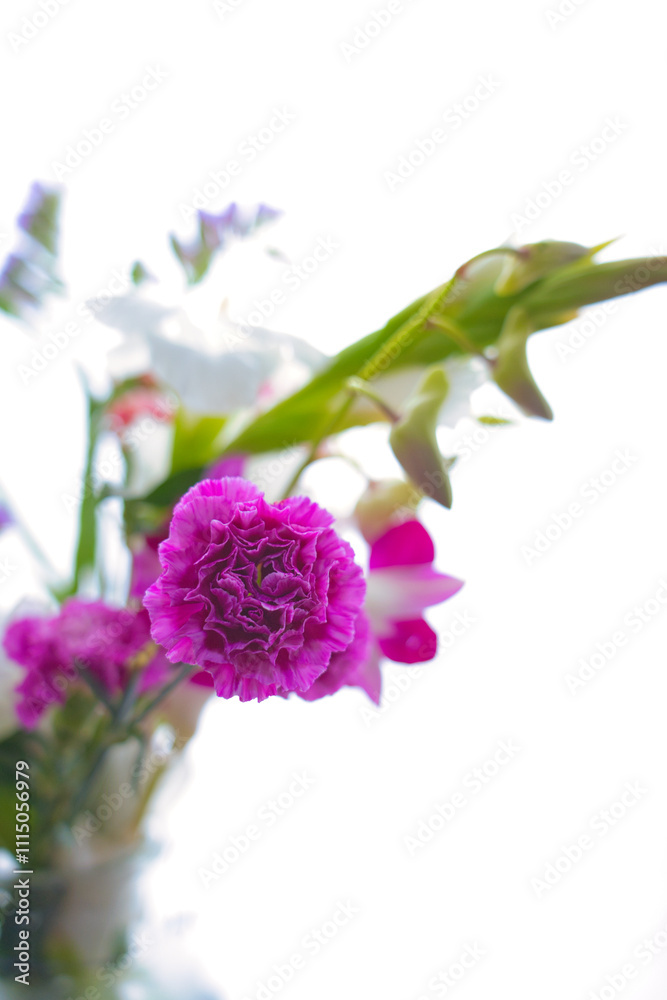 Obraz premium 花瓶に生けた花