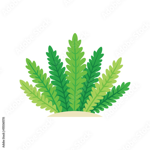 Selaginella flower isolated flat vector illustration on white background