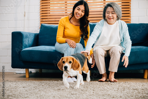 Cuadro en lienzo A barefoot woman and her mother share joyful moments with their Beagle dog, running around the living room floor
