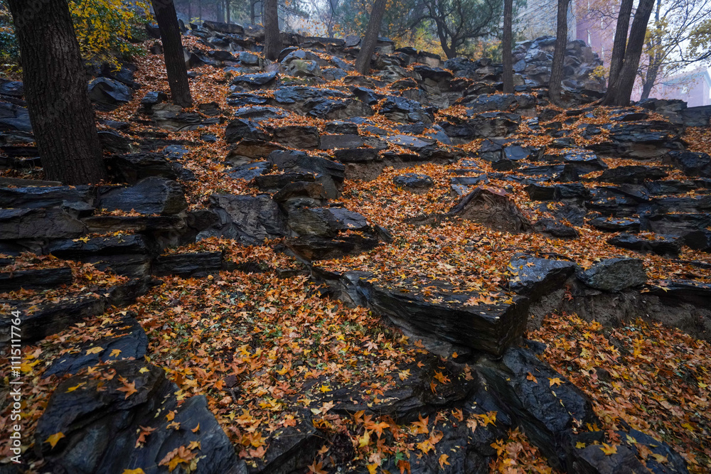 Φωτογραφία Early Winter Scenery at the North Foot of Wanshou Mountain in Summer Palace