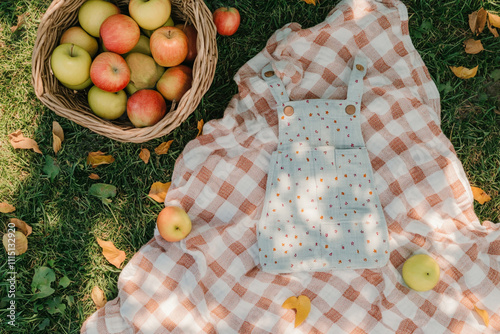 Picnic baby announcement setup with apples, a basket, and a checkered blanket on grass