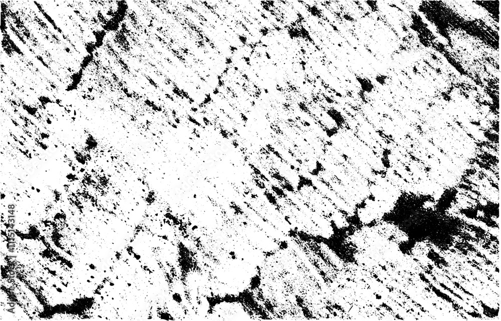 Fototapeta premium black and white background / Grunge texture
