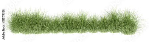 green grass isolated on white background