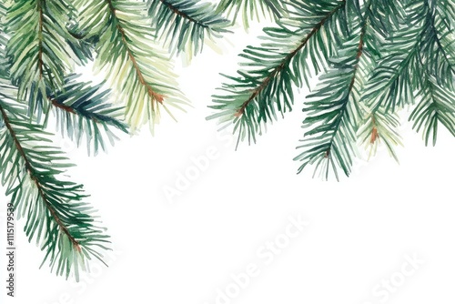 Watercolor Pine Tree Branches Frame on isolated white background