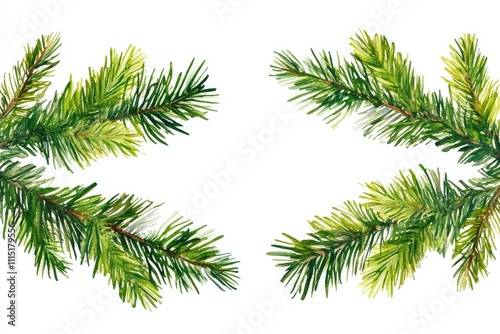 Watercolor Pine Tree Branches Frame on isolated white background