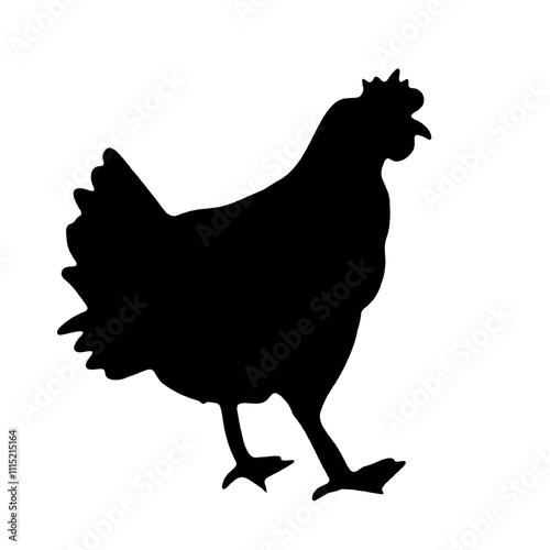 hen silhouette isolated opn white background  photo