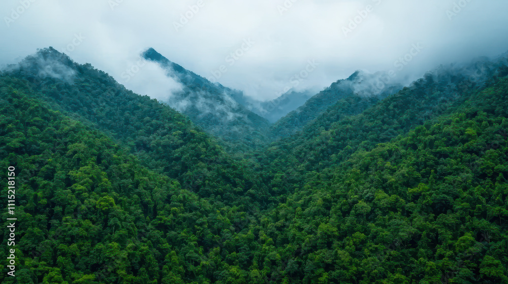Naklejka premium natural transpiration process concept. Lush green mountains with misty clouds above create serene view