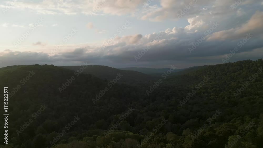 A serene aerial view of rolling hills covered in dense forest beneath a dramatic, cloudy evening sky. Perfect for nature, landscape, and peaceful outdoor themes. A serene aerial view of rolling hills covered in dense forest beneath a dramatic, cloudy evening sky. Perfect for nature, landscape, and peaceful outdoor themes.