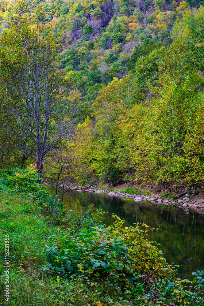 The Base of Pine Creek Gorge, or Grand Canyon of Pennsylvania, in Leonard Harrison State Park, in Watson Township, Pennsylvania. The Base of Pine Creek Gorge, or Grand Canyon of Pennsylvania, in Leonard Harrison State Park, in Watson Township, Pennsylvania.