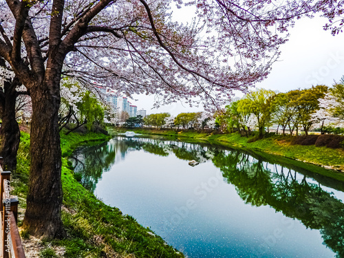 Wallpaper Mural landscape Torontodigital.ca