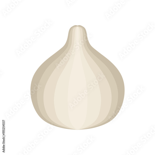 garlic vector illustration isolated on white background, Natural healthy food and diet. Vegetarian product.