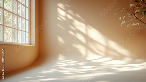 Light and Shadow on Tan Wal...