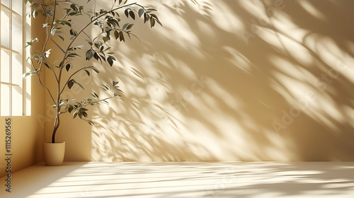 Sunlight Illuminates Plant ...