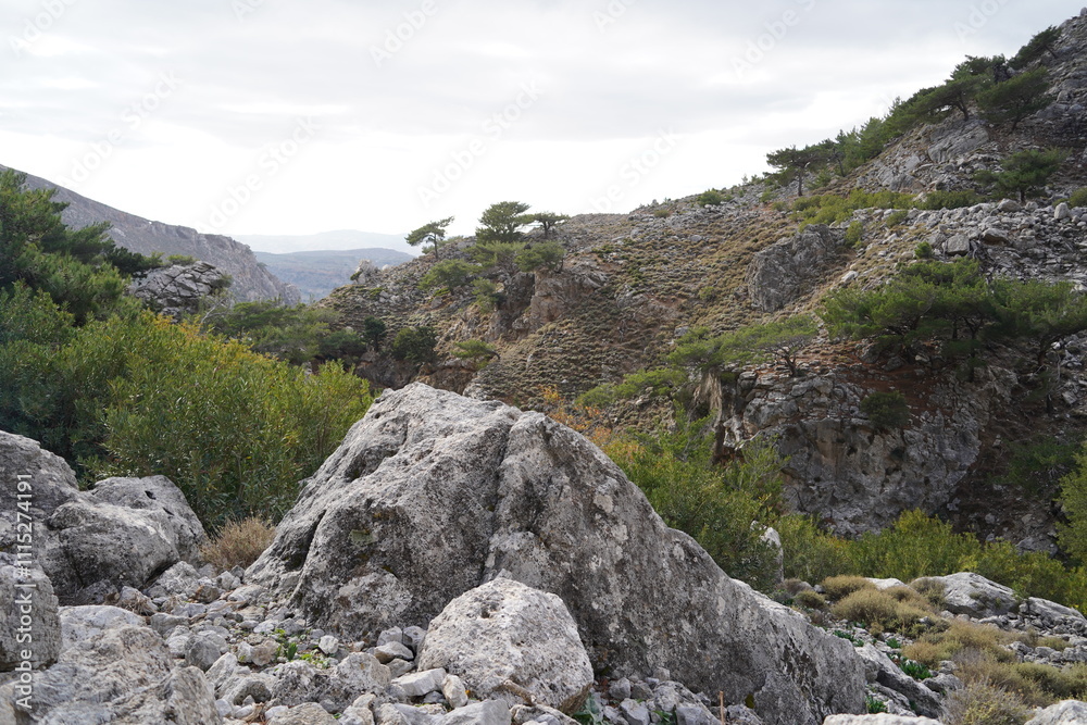 panorama from Rouvas gorges and mountains , Crete panorama from Rouvas gorges and mountains , Crete