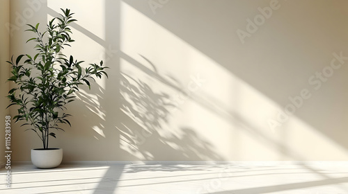 Sunlight Illuminates Plant ...