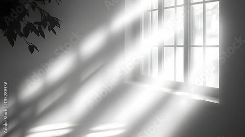 Sunlight Streams Through Wi...