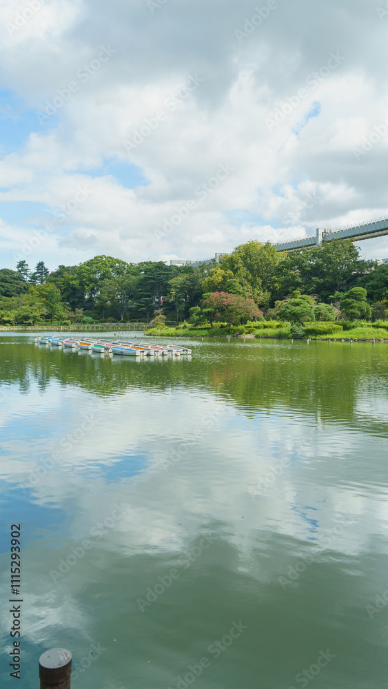 Fototapeta premium 日本の公園【千葉県千葉市】千葉公園・綿打池