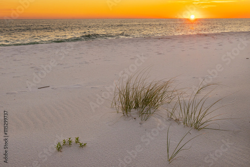 A scenic sunset view of a white sand dune beach at the Gulf Islands National Seashore, Fort Pickens, in Pensacola, Florida.  photo