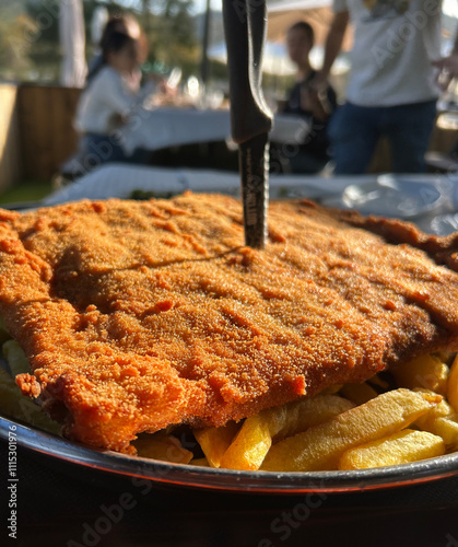 Breaded cutlet spanish cachopo with french fries and a knife stuck in it photo