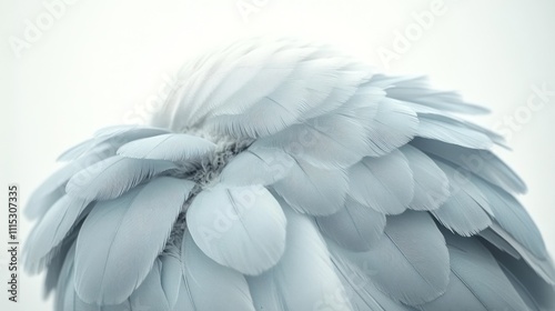 Close-up of soft, pale blue and white feathers.