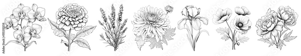 PNG Line art flower set on transparent background PNG Line art flower set on transparent background