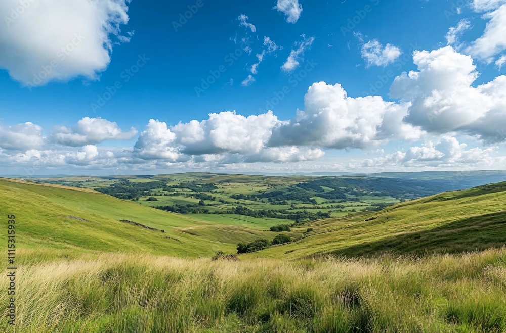 Fototapeta premium A vast grassland under a blue sky with fluffy white clouds in Inner Mongolia, showcasing the natural beauty and expansive landscape, perfect for a peaceful and tranquil outdoor setting.