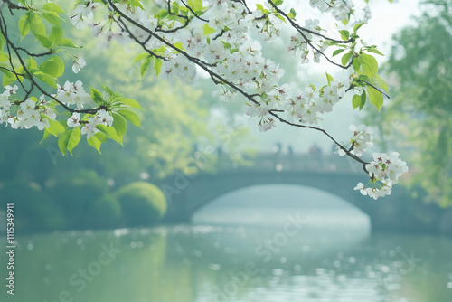 Beautiful cherry blossoms bloom against a serene blue background in springtime