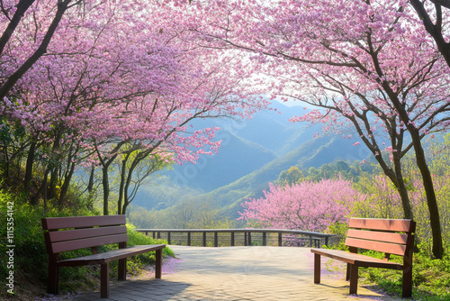 Colorful spring landscape with blooming cherry blossom trees in a serene park setting during bright daylight hours