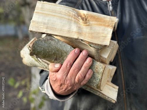 Close up senior man carries firewood from the woodshed. photo
