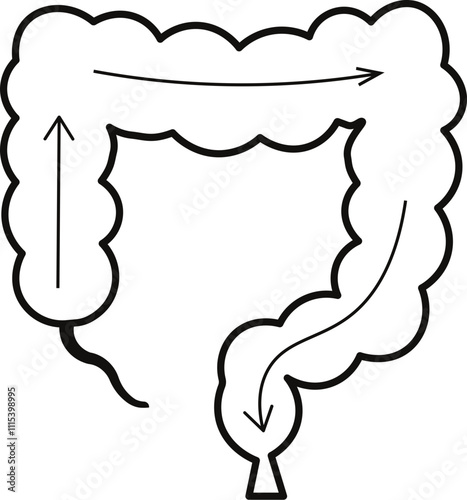 digestion system 