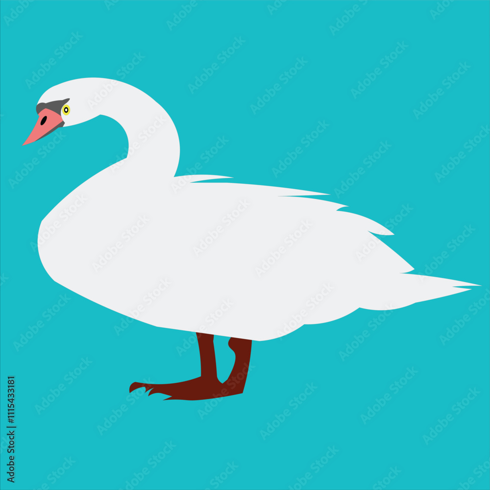 Fototapeta premium swan bird vector illustration design clean and unique latest 