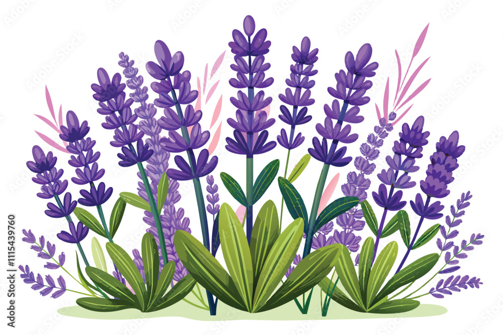 Obraz premium Lavender Flower Image