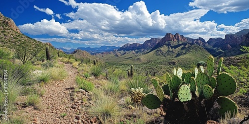 Hiking a loop from Dead Man s Pass to Mescal Trail and Long Canyon Trail offers an unforgettable hiking experience. Enjoy the stunning scenery while hiking on these beautiful hiking trails. photo