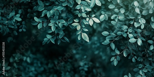 Blurry texture pattern of tree leaves creates an artistic and muted mood. This image showcases dark green and black tones, enhancing the quiet silence found in nature s beauty. photo