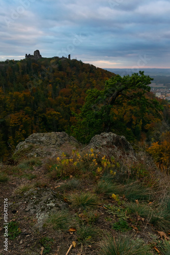 Lichnice is a castle ruin near Třemošnice in the Chrudim district in the Pardubice region. It is located above the village of Podhradí on the western edge of the Iron Mountains. photo