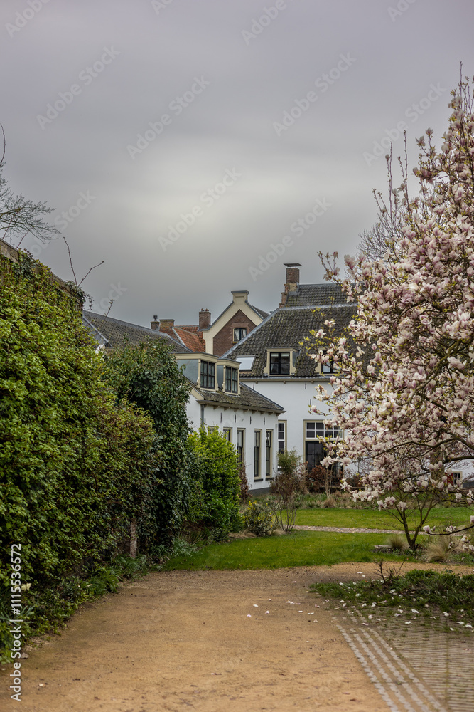 A peaceful garden path with greenery on the left, a blooming magnolia tree on the right, and charming white houses with slanted roofs in the background under a cloudy sky. Wijk bij Duurstede landscape A peaceful garden path with greenery on the left, a blooming magnolia tree on the right, and charming white houses with slanted roofs in the background under a cloudy sky. Wijk bij Duurstede landscape