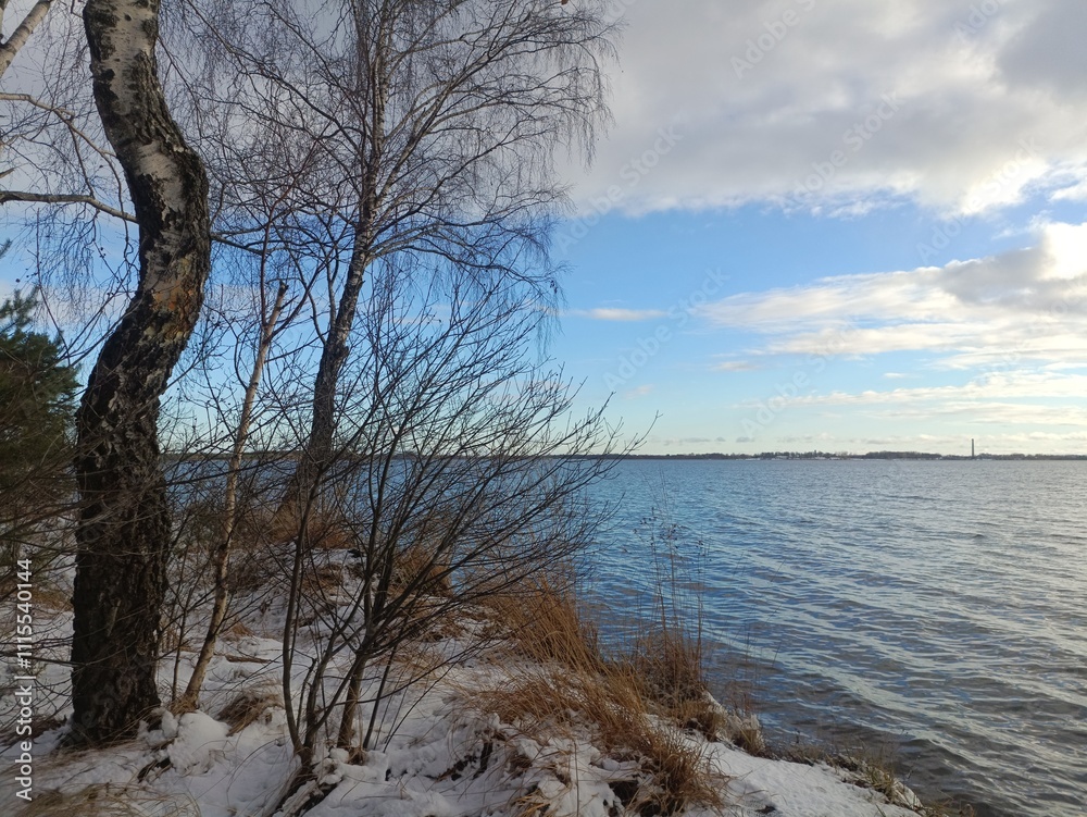 Rekyva forest and lake during sunny winter day. Pine and birch tree woodland. Wavy lake. Bushes and small trees are growing in woods. Sunny day without clouds in sky. Snowy. Nature. Rekyvos miskas. Rekyva forest and lake during sunny winter day. Pine and birch tree woodland. Wavy lake. Bushes and small trees are growing in woods. Sunny day without clouds in sky. Snowy. Nature. Rekyvos miskas.