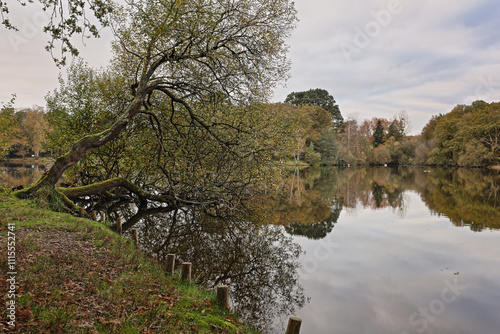 Lac de Savenay Loire atlantique France