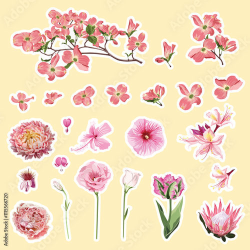 Set of roses, tulips and spring flowers elements. Set of stickers, pins, patches and handwritten notes collection stikers kit.