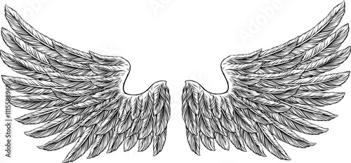 Eagle, angel or similar wings in a tattoo illustration vintage woodcut etching style