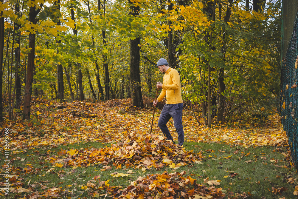 Fototapeta premium Man in a yellow sweater and beanie raking autumn leaves in a colorful forest. The golden foliage and serene atmosphere showcase the beauty of seasonal outdoor work
