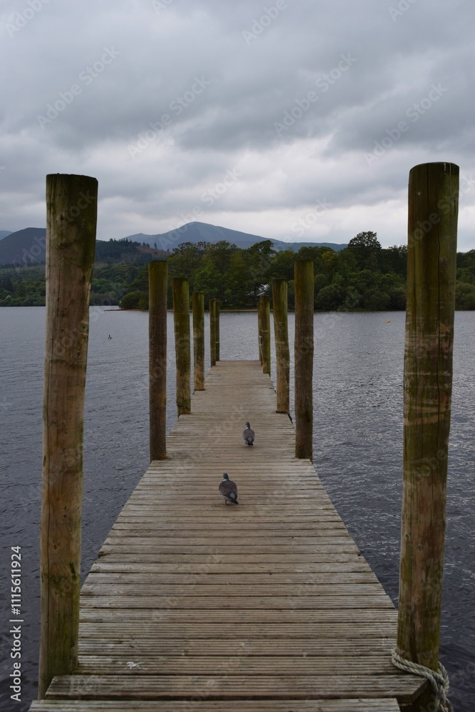 Fototapeta premium Ducks on the wooden pier at Derwentwater