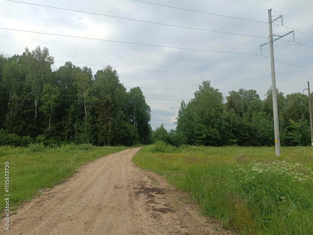 Road in forest in Siauliai county during cloudy summer day. Oak and birch tree woodland. cloud day with white clouds in sky. Bushes are growing in woods. Sandy road. Nature. Summer season. Miskas. Road in forest in Siauliai county during cloudy summer day. Oak and birch tree woodland. cloud day with white clouds in sky. Bushes are growing in woods. Sandy road. Nature. Summer season. Miskas.