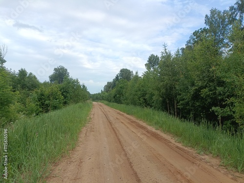 Road in forest in Siauliai county during cloud summer day. Oak and birch tree woodland. cloud day with white clouds in sky. Bushes are growing in woods. Sandy road. Nature. Summer season. Miskas. photo