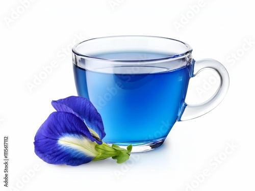 Glass cup of organic blue butterfly pea flower tea (blue pea, bluebellvine, cordofan pea, clitoria ternatea) isolated on white background.