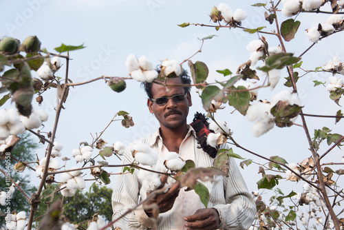 Happy Indian farmer in a cotton field.