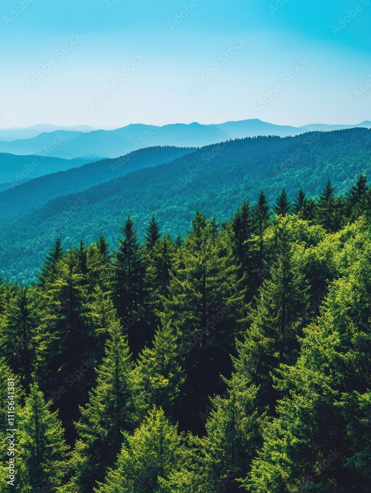 Fototapeta premium Mountain View from Hilltop