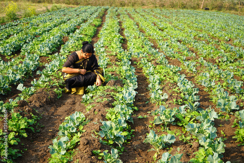 Happy Indian woman working cabbage organic farm.