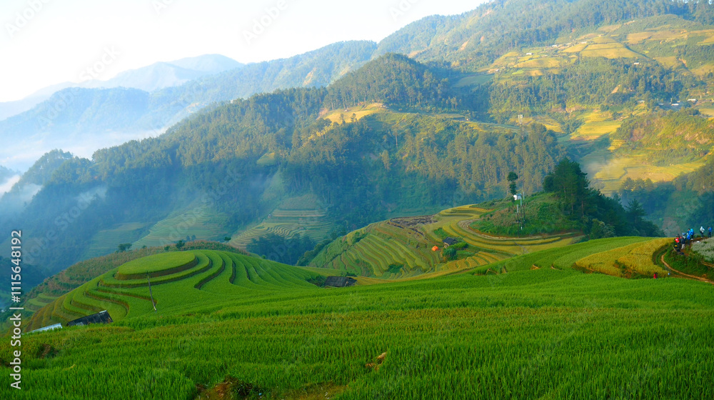 Obraz premium Rice terrace Field Green agriculture rainny season dark cloud amazing landscape. Sustainable Ecosystem rice paddy field Vietnam green nature farm land. Golden green rice terraces tropical landscape