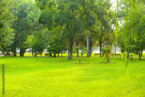 Forests, green spaces, grasslands, and chairs for visitors to rest in urban parks